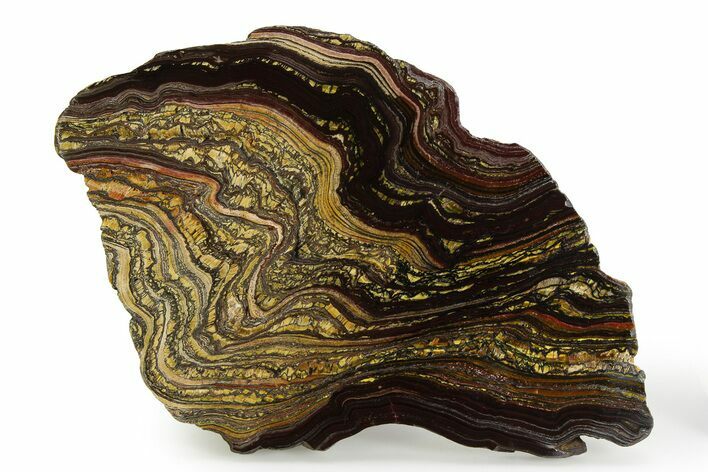 Polished Tiger Iron Stromatolite Slab - Billion Years #351906